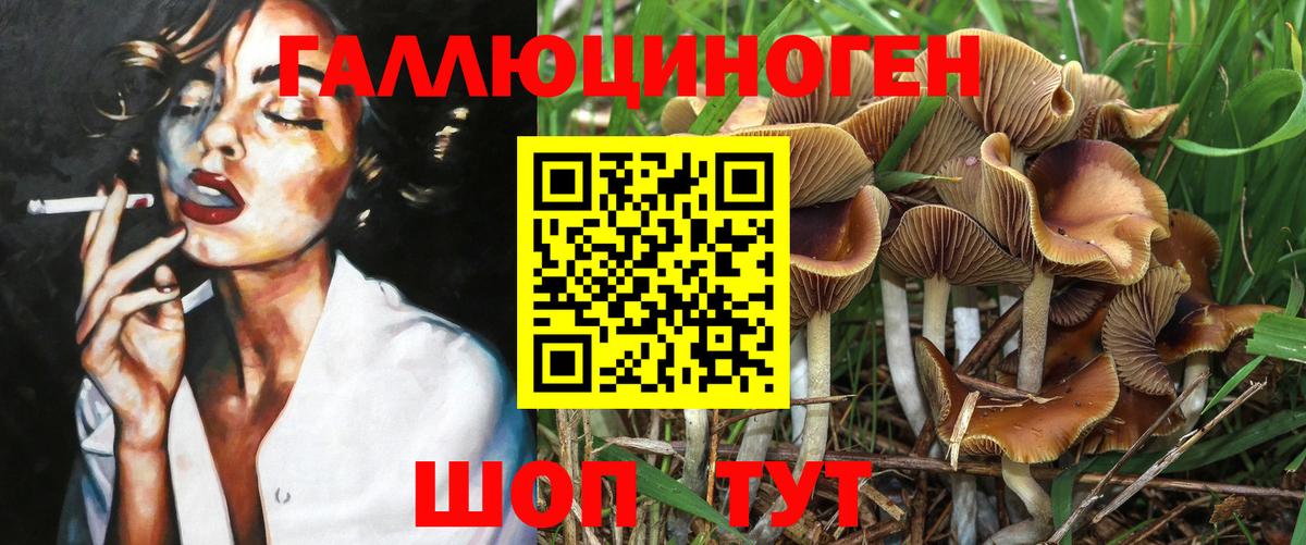 Галлюциногенные грибы Cubensis Азнакаево