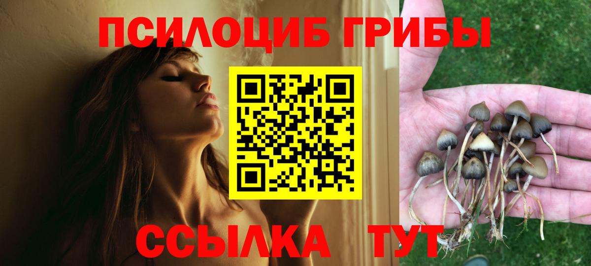 хочу наркоту  Вход с VPN  Азнакаево  Псилоцибиновые грибы ЛСД 